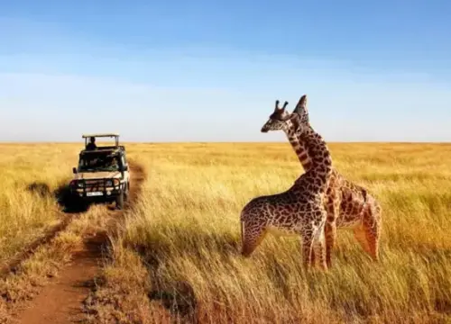 Kenya
