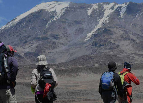 7 Days Lemosho Route