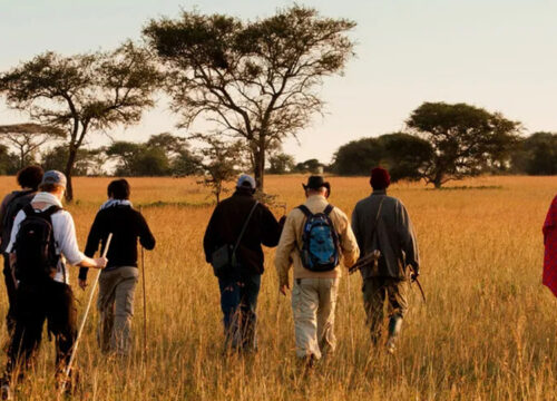 7 Days Rift Valley and Ngorongoro Highlands Expedition