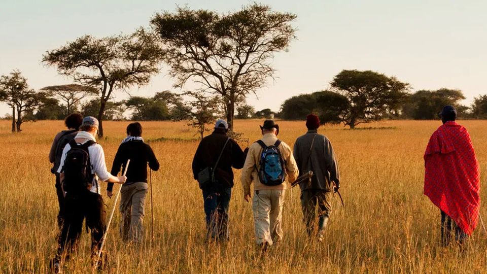 7 Days Rift Valley and Ngorongoro Highlands Expedition