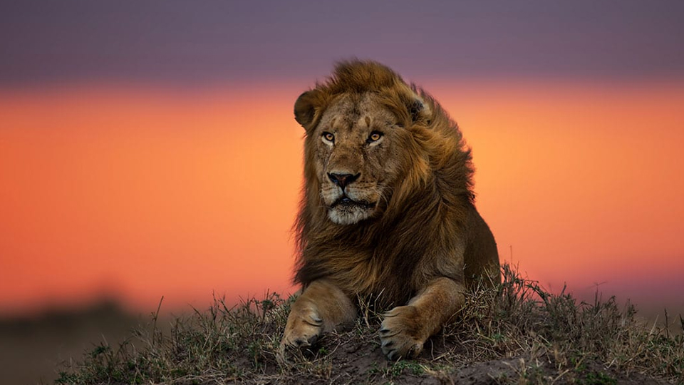 7 Days Ngorongoro Crater , Serengeti and Lake Manyara Exploration