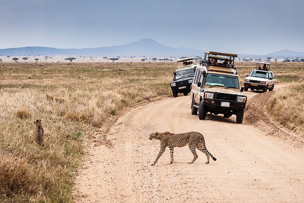 Serengeti-and-ngorongoro-national-park