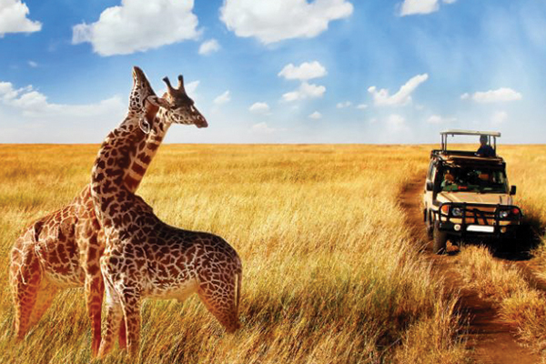 Tanzania-safaris