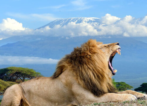 5 Days Amboseli and Tsavo Safari
