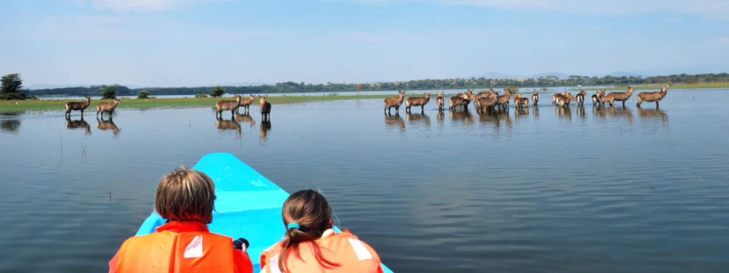 Kid-Friendly Activities in Lake Nakuru.