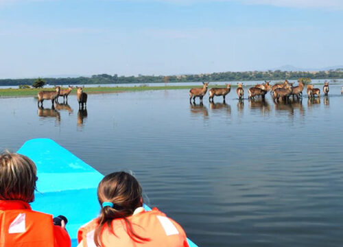 Kid-Friendly Activities in Lake Nakuru.
