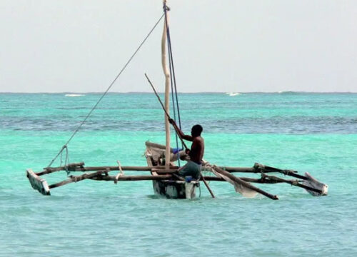 7 Days Zanzibar Adventure and Relaxation