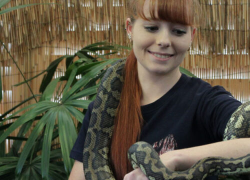 Educational Wildlife Experiences