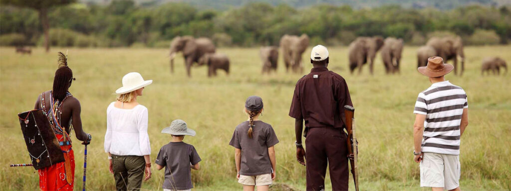 Family-Friendly Safari Adventures
