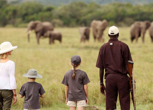 Family-Friendly Safari Adventures