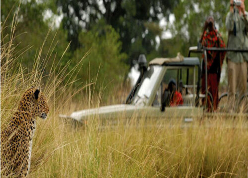 5 Days Maasai Mara and Laikipia Safari
