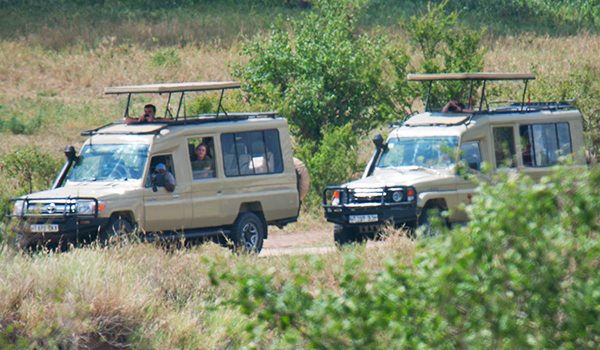 8 Days 7  Nights Tanzania Northen Safari