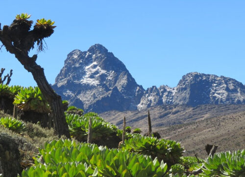 4 Days Chogoria Route