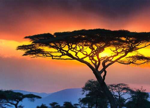 5 Days Tanzania Budget Safari