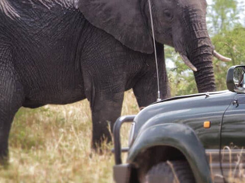 2-Day Budget Camping  Safari