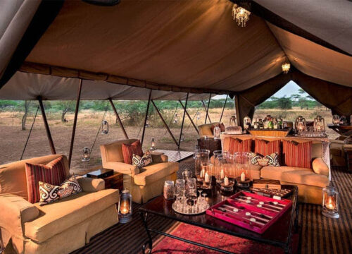 Special 8 Days Serengeti Honeymoon Safari