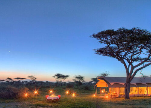 6 Days Honeymoon Tanzania Safari