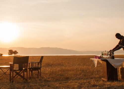 3 Days Tanzania Luxury Safari