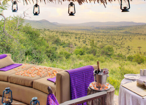 2 Days Luxury Tanzania Safari