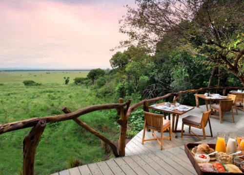 5 Days Mid - Range Safari in Tanzania