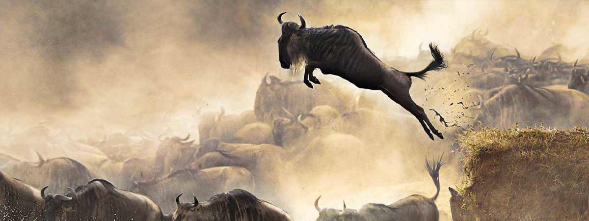3 Days Tanzania Budget Camping Safari
